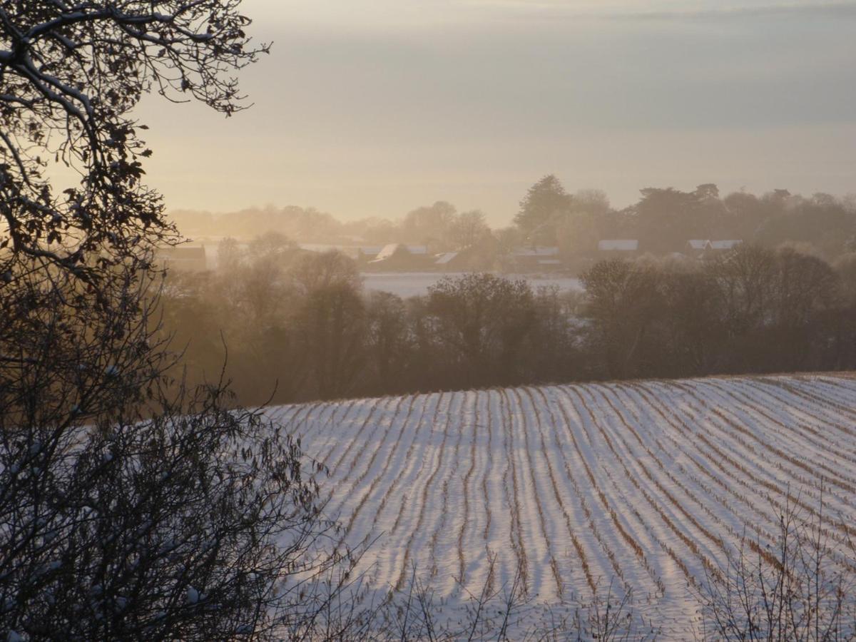 Gorse Sturminster Newton